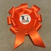 Violence Against Women Rosette